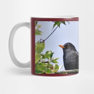 Merle - blackbird   03 (c)(t) by Olao-Olavia / Okaio Créations panasonic fz 200 (1200 mm) mai 2013 Mug